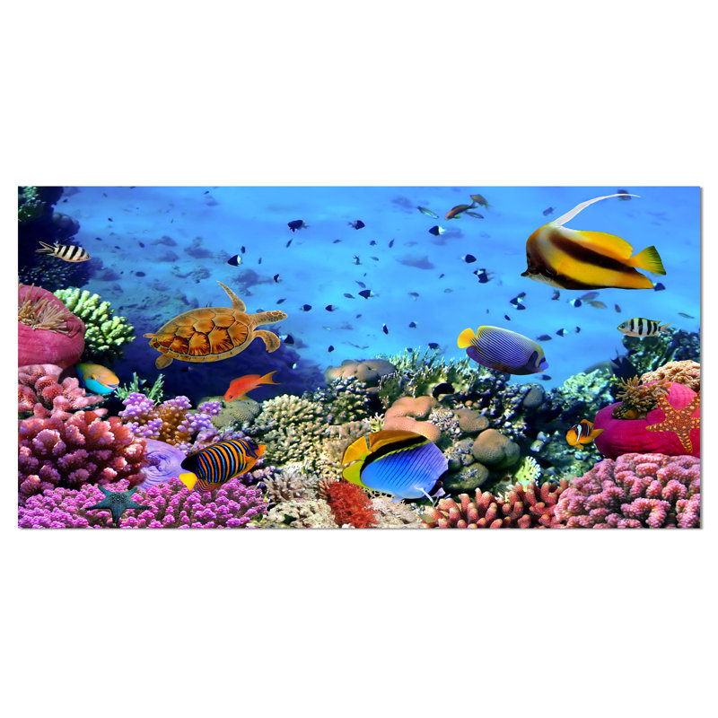 «Coral Colony on Reef Égypte», impression, H 16 po x l 32 po x P 1 po, Toile tendue