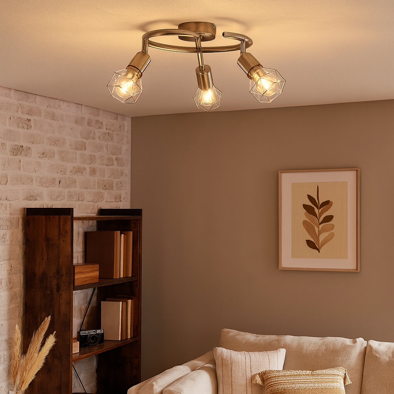 Buchbinder Spotlight