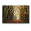Path of Dreams - Reproduction sur toile tendue-84190576