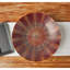 Nova Bowl