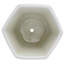 Chinese Porcelain Pot Planter-1984463931