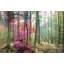 Parvez Taj - Wrapped Canvas Print-15807160