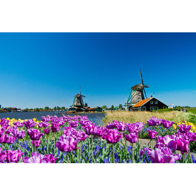 Breier " Windmills Near Flower Field In Holland " by Lsantilli