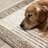 Faira Cream Brown Beige Vintage Area Rug-102210987