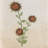  Harvest Sampler Beige Napkin Set Of 4-937271234