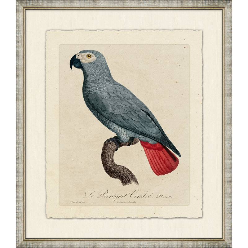 Le Perroquet 2 Painting