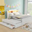Lit plateforme double blanc avec tablettes de rangement et tête de lit à DEL, lit gigogne simple, 3 tiroirs en bois massif et structure pour un rangement à long terme, construction robuste et pratique
