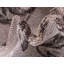 Tapis d'extérieur couleur café-40283868