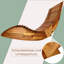 Cornelia Sun Lounger