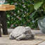 Statue de tortue d'extérieur gris foncé - charmant décor de tortue, aucun assemblage requis