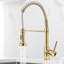 Belfry Kitchen Wall Pull Down Kitchen Faucet-403067248
