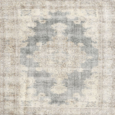 Oriental Indoor Rug