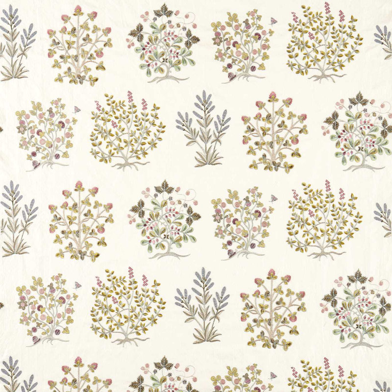Highgrove Thyme Walk, Damson/Quince