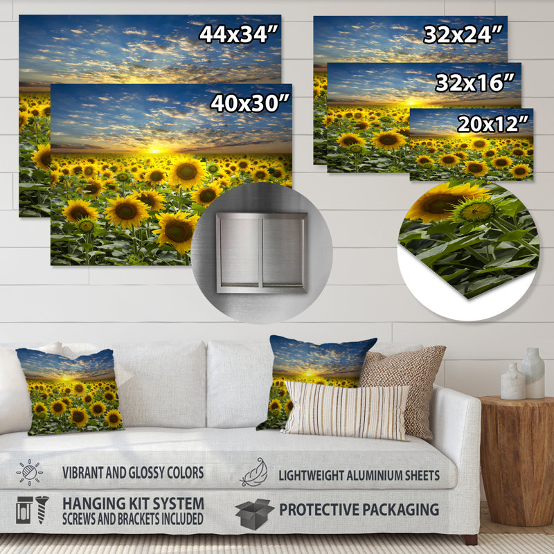 Champ de tournesols en fleurs - reproduction d'art sur bois massif, H 36 po x l 36 po, Impression sans cadre, Métal métal
