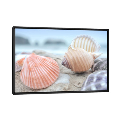 " Crescent Beach Shells X " by Alan Blaustein