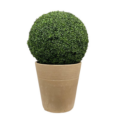 41 " H Faux Boxwood Topiary in Fiberstone Planter