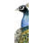 Watercolor Peacock Canvas | Bedroom Bird Wall Art Decor