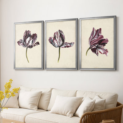 Antique Tulip Study I -Custom Framed Wrapped Gallery Canvas - 3 Pieces