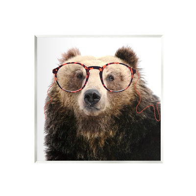" Funny Grizzly Bear Wearing Glasses "