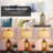 Cochranville 23.6" Modern Lantern Table Lamp with USB Ports and Touch Control-88636475-88636474