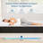 10"/12" Memory Foam Mattress in a Box – Cooling Gel, Charcoal & Pressure Relief Layers-151965500-166477047