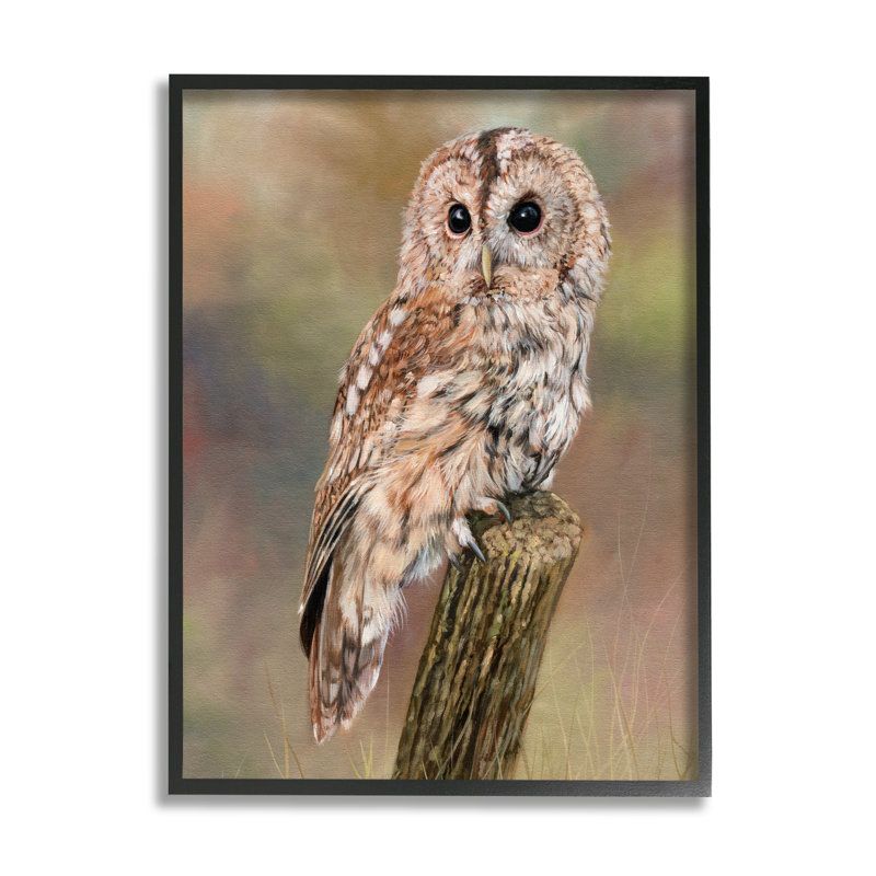 Tawny Owl perché à la faune de la forêt complexe - cadre flottant, peinture sur toile, H 14 po x l 11 po x P 1,5 po