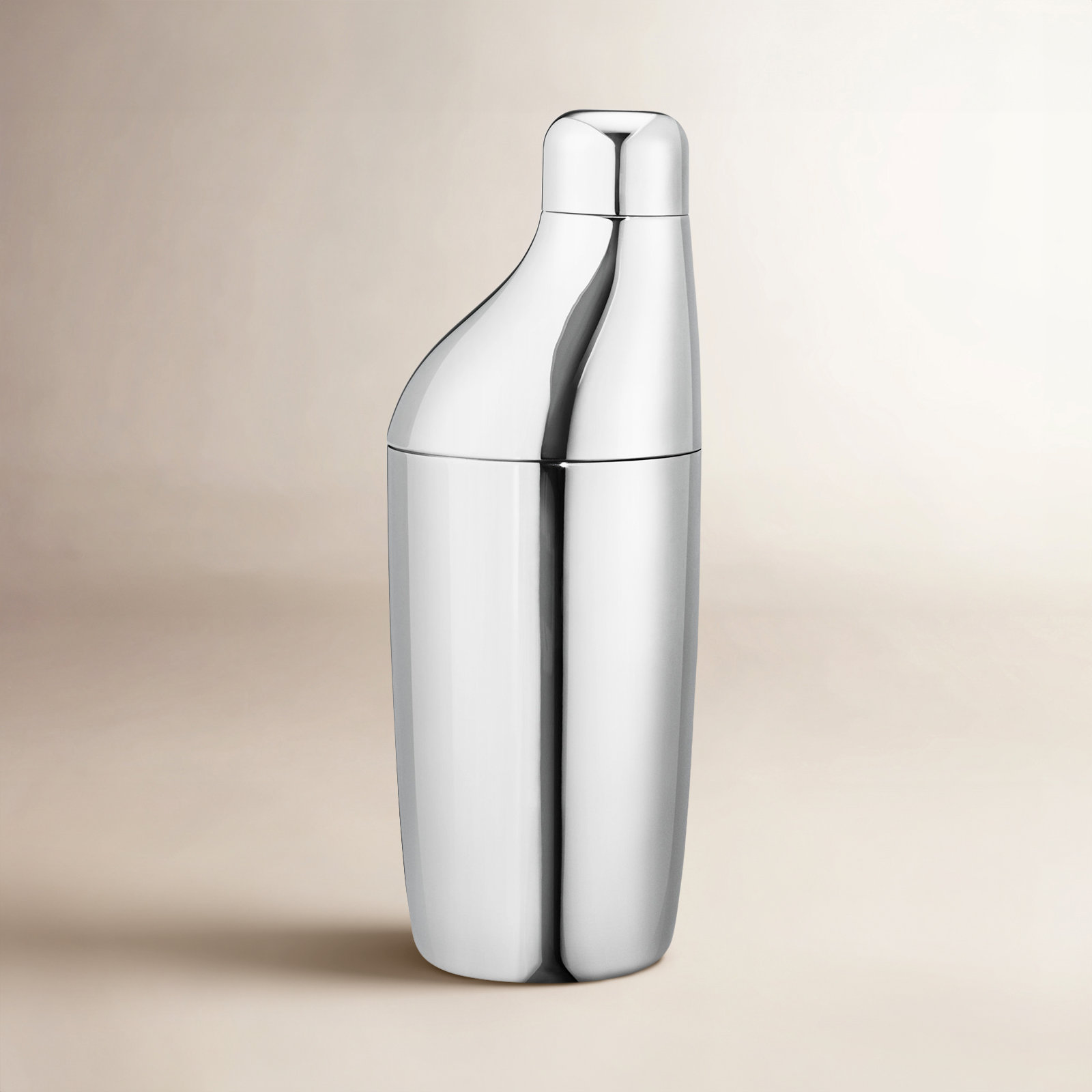 Sky Stainless Steel Shaker