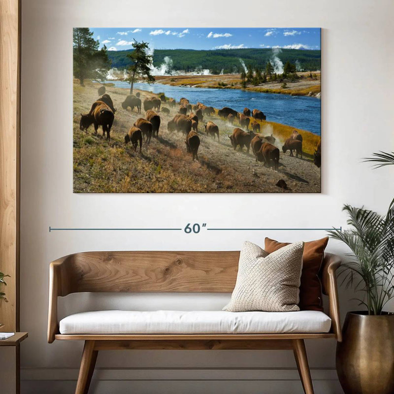 Troupeau de bisons Brampt, H 34 po x l 51 po