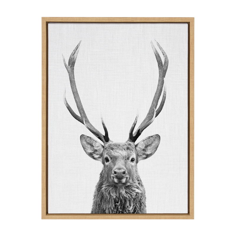 «The Red Deer BW» par Simon Te, reproduction d'art sur toile encadrée, Naturel, H 24 po x l 18 po x P 1,62 po