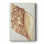 «Vintage Shell Vignette IV» - galerie sur mesure