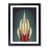 Black Framed selected