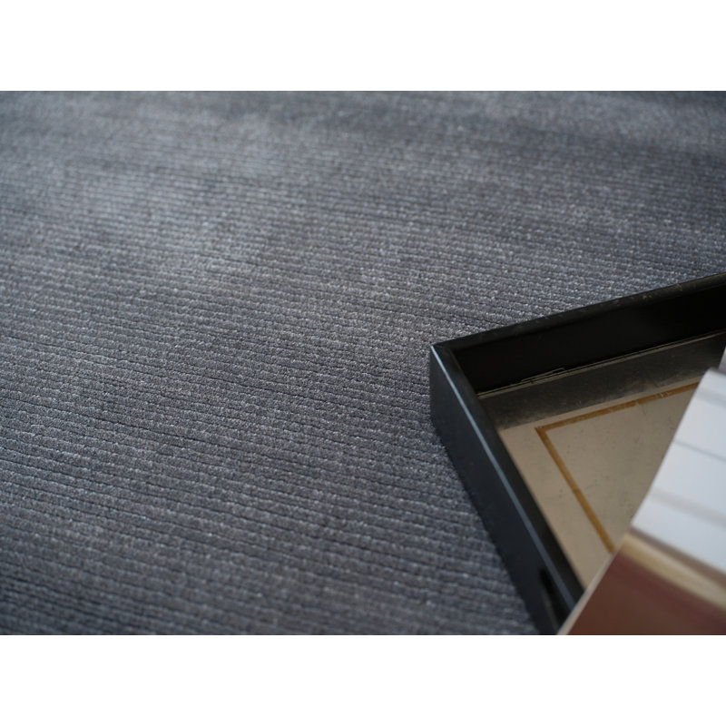 Pavia Hand Loomed Silky Nylon Solid Color Area Rug in Gray, Rectangle 10' x 14'