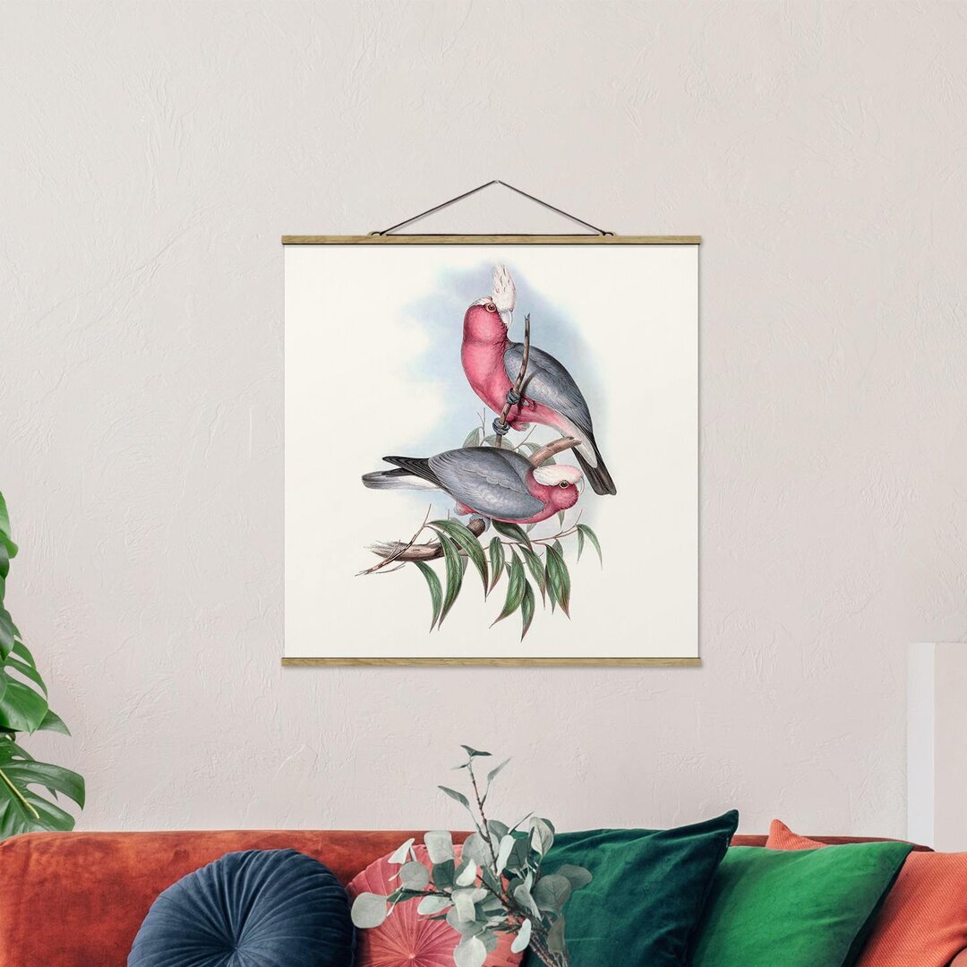 Grafikdruck Pastel Parrots II