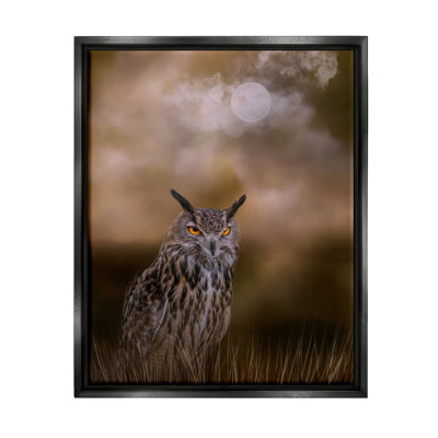 «Nighttime Owl Moonlit Cloudy Sky Floater» par Kelley Parker