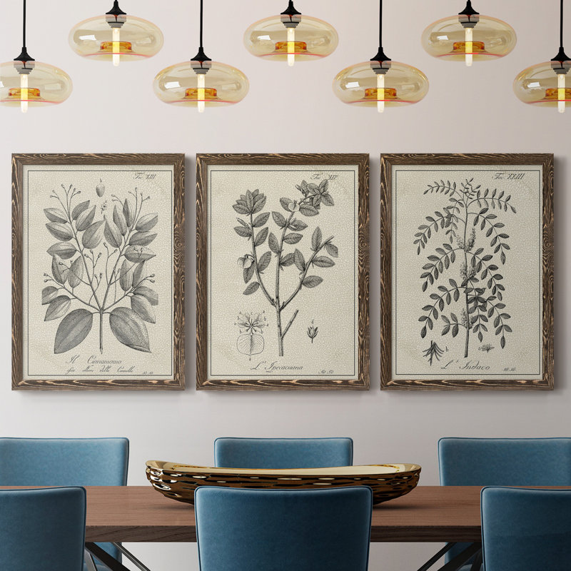 Antique Black and White Botanical VII - Ensemble de 3 reproductions d'art sur toile, H 41,5 po x l 94,5 po, Noyer