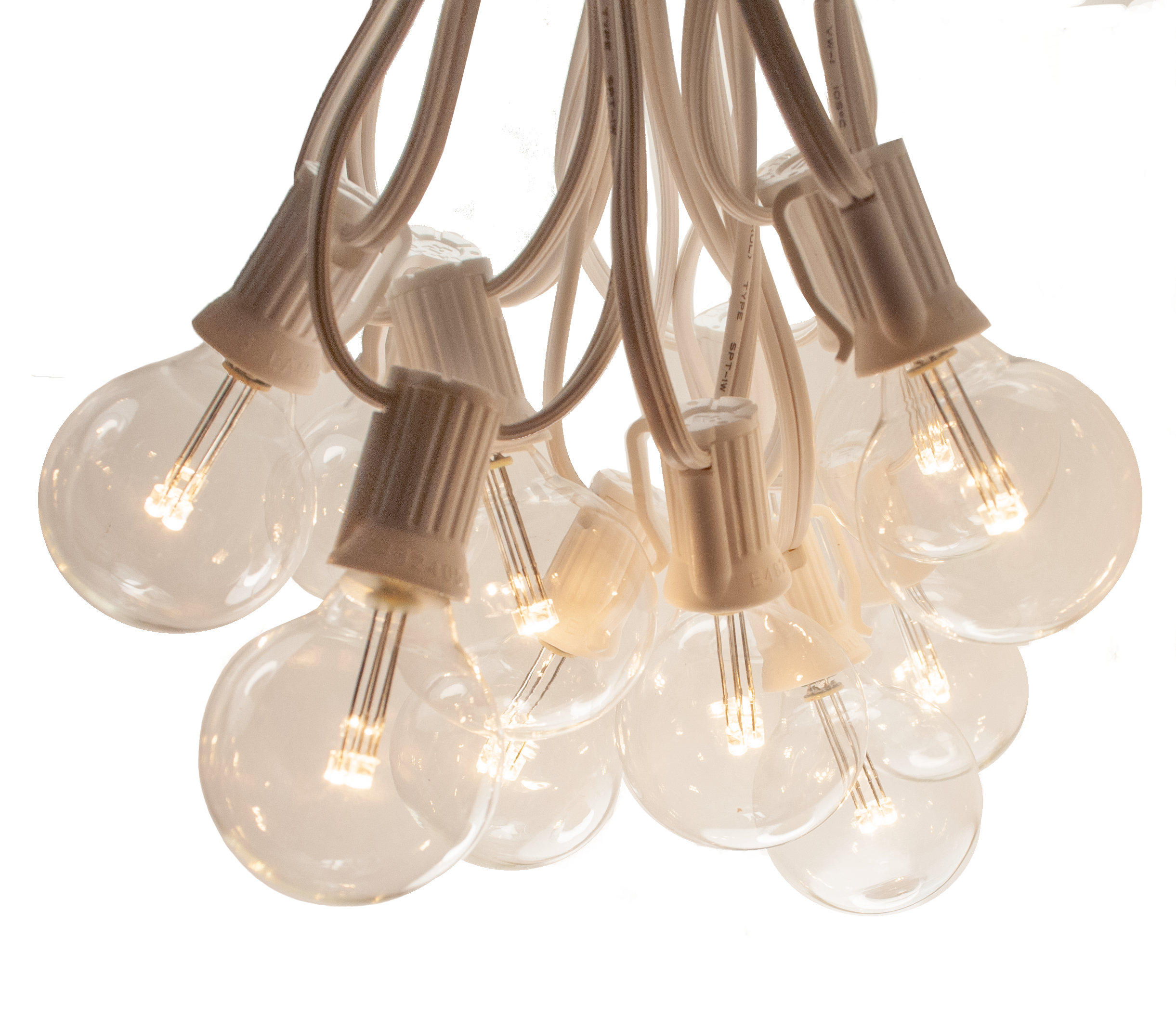 Charlton Home® Faustino Outdoor Globe String Light & Reviews | Wayfair