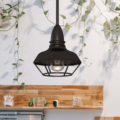 Mini-luminaire suspendu intérieur en bronze antique à 1 lumière Meister avec bol inversé en cage