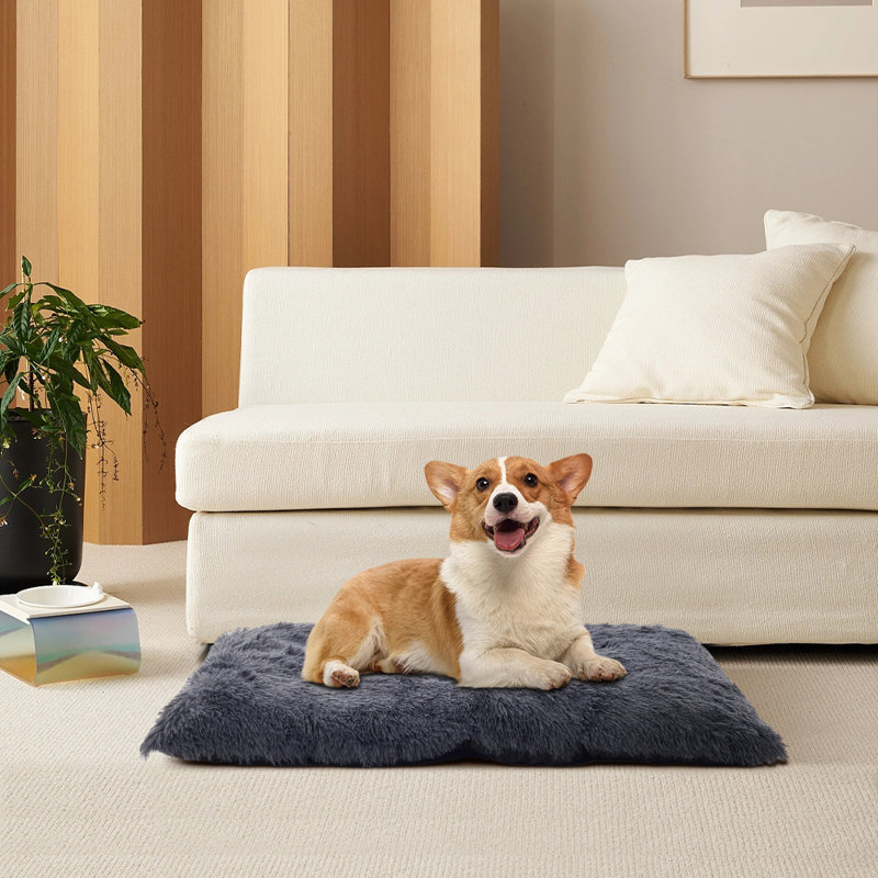 Polyester Pet Bed