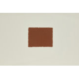 Essential 100% Cotton Rectangle Placemats