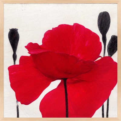 Red Poppy 2 par Ivo Stoyanov - reproduction d'art sur papier encadrée