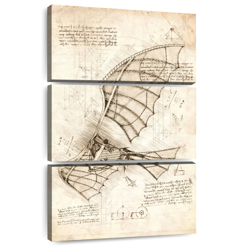 Mehar Flying Machine Leonardo Da Vinci, 57" H x 36" W