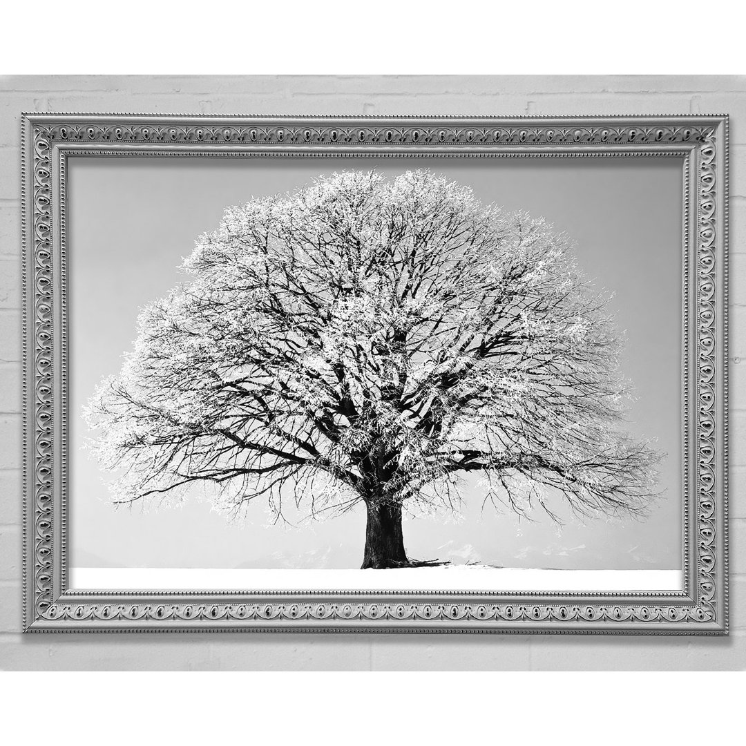 Gerahmtes Poster Winter Snow Tree B N W