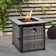 Polyethylene (PE) Wicker 4 - Person Seating Group with Fire Pit