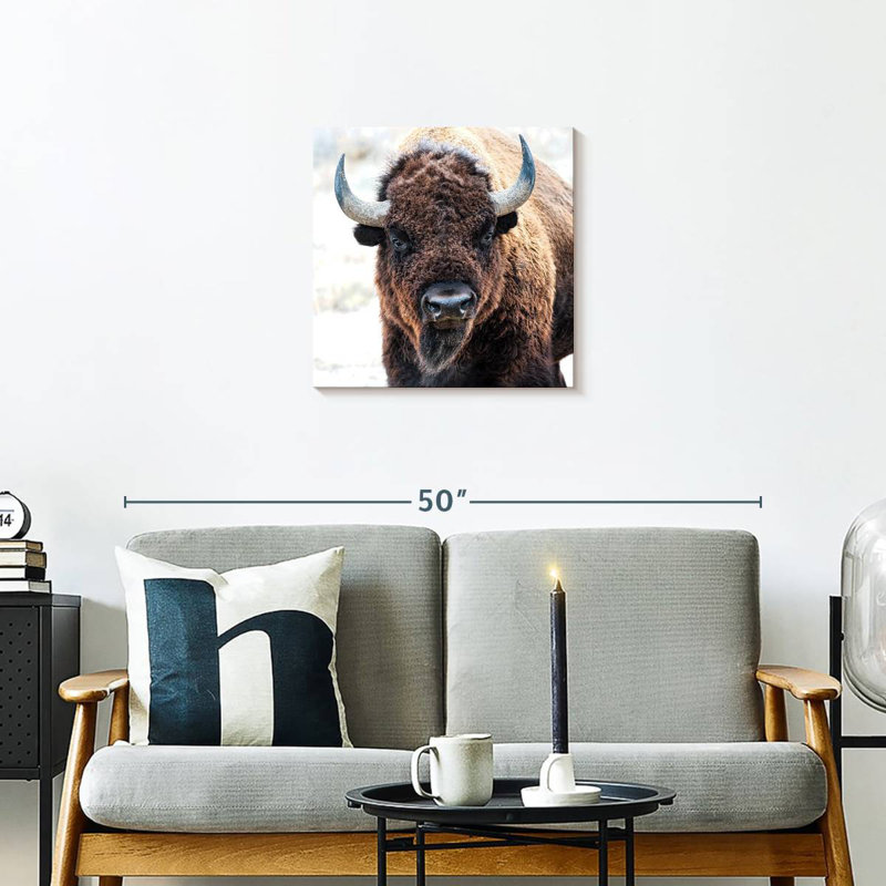 Bison d'Amérique - un trésor national, H 20 po x l 20 po