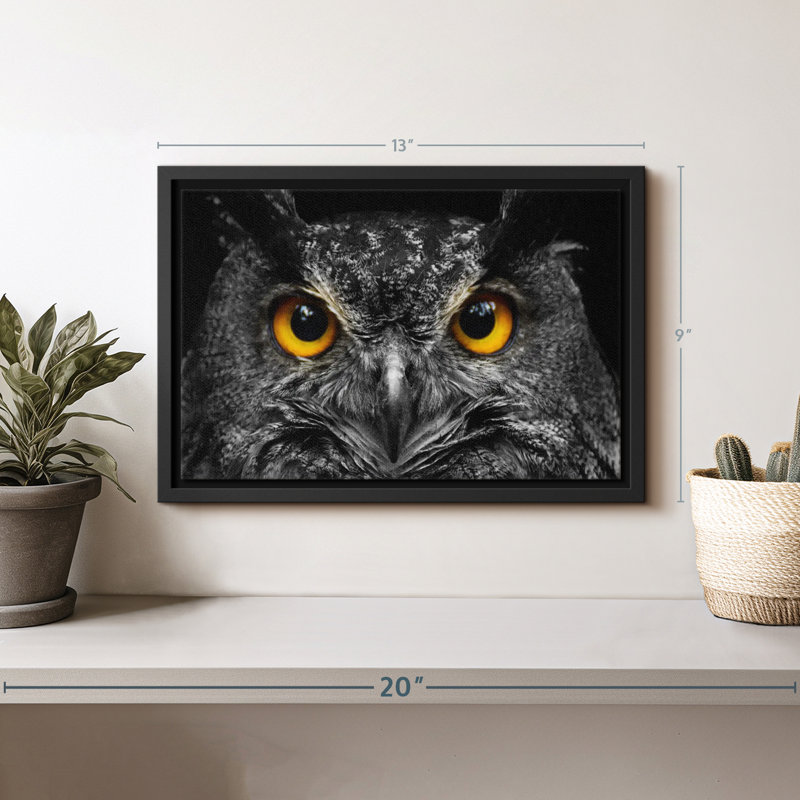 «Yellow Eyed Owl Wall Art», H 9 po x l 13 po