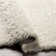 Gilkey Indoor Rug