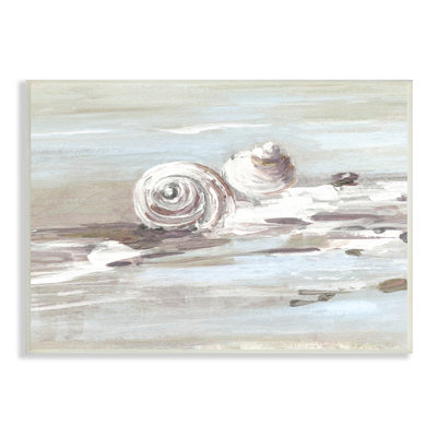 Coquillages de plage Still brossé