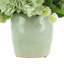 Hydrangea Floral Arrangement in Vase