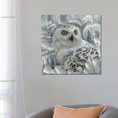 Snowy Owl Sanctuary 1 Piece Wrapped Canvas Wall Art