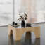 Table basse moderne avec plateau 100% verre trempé, finition gris foncé et chêne, 31,5 po x 13,8 po x 31,5 po | Structure en carton 100% mélaminé, bandes de chant en PVC | Design élégant et fonctionnel pour le salon et les espaces de détente-473668508-473668511